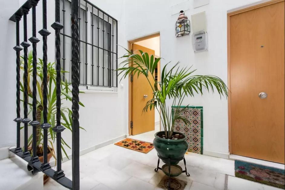 Estudio En El Corazon De Sevilla Dış mekan fotoğraf